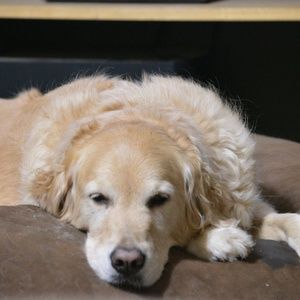 Meet your Posher, Storm